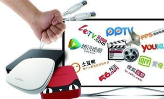 霸道“總菊”與互聯(lián)網(wǎng)電視 信息服務博弈記（上篇）