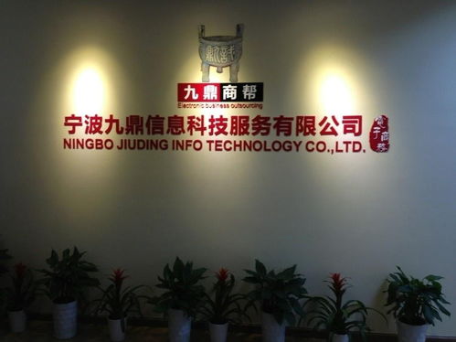 寧波九鼎信息科技 數字化浪潮中的智慧咨詢領航者